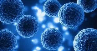 Exosomes Therapy Onsite